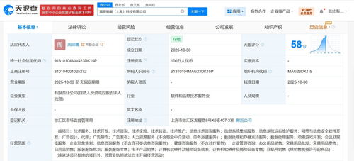 高德在上海成立銷服科技公司，注冊(cè)資本100萬(wàn)，聚焦信息技術(shù)咨詢服務(wù)
