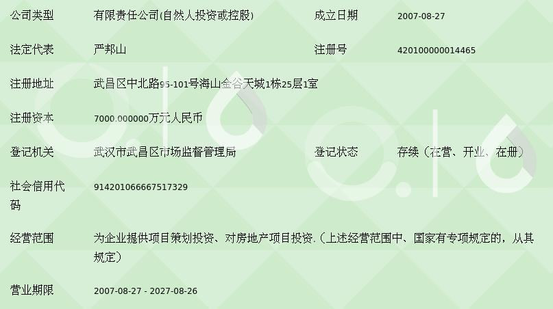 武漢海山投資集團